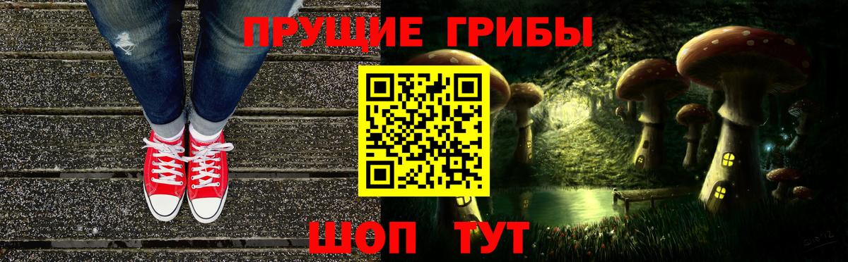 Галлюциногенные грибы Cubensis Красноармейск
