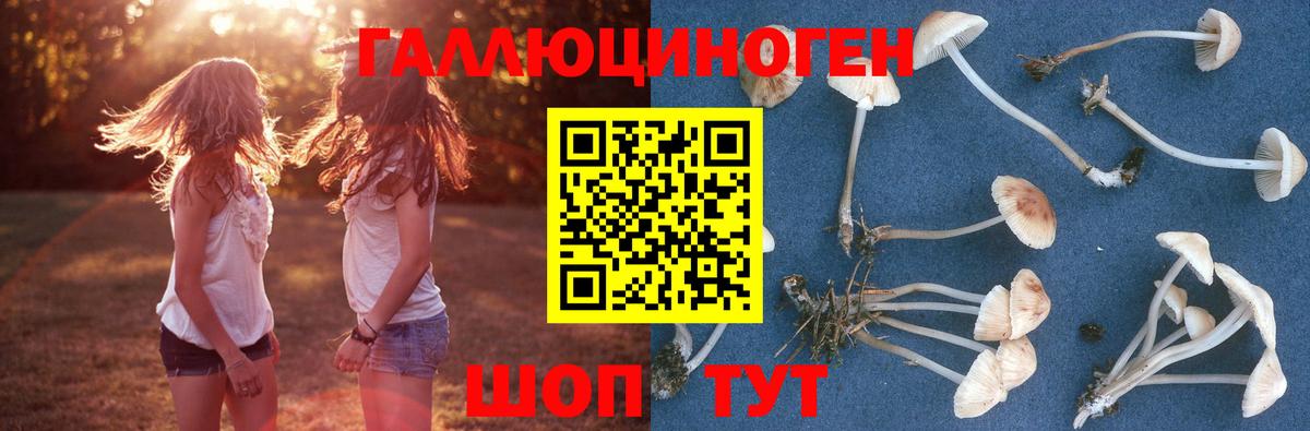 Красноармейск  Псилоцибиновые грибы мухоморы  Вход с VPN 